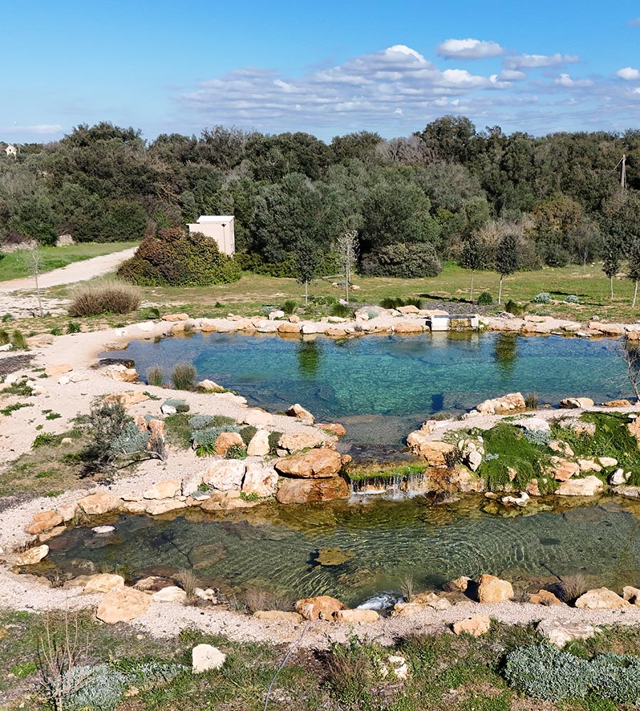 Il biolago naturale immerso nel verde di Masseria Cuturi
